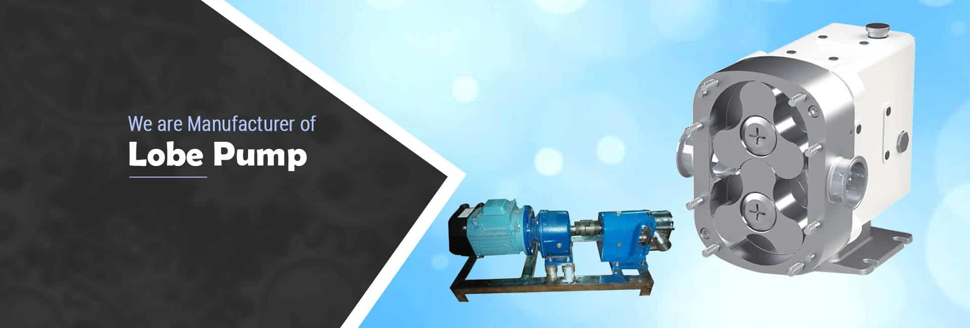 Lobe-Pumps-Manufacturer